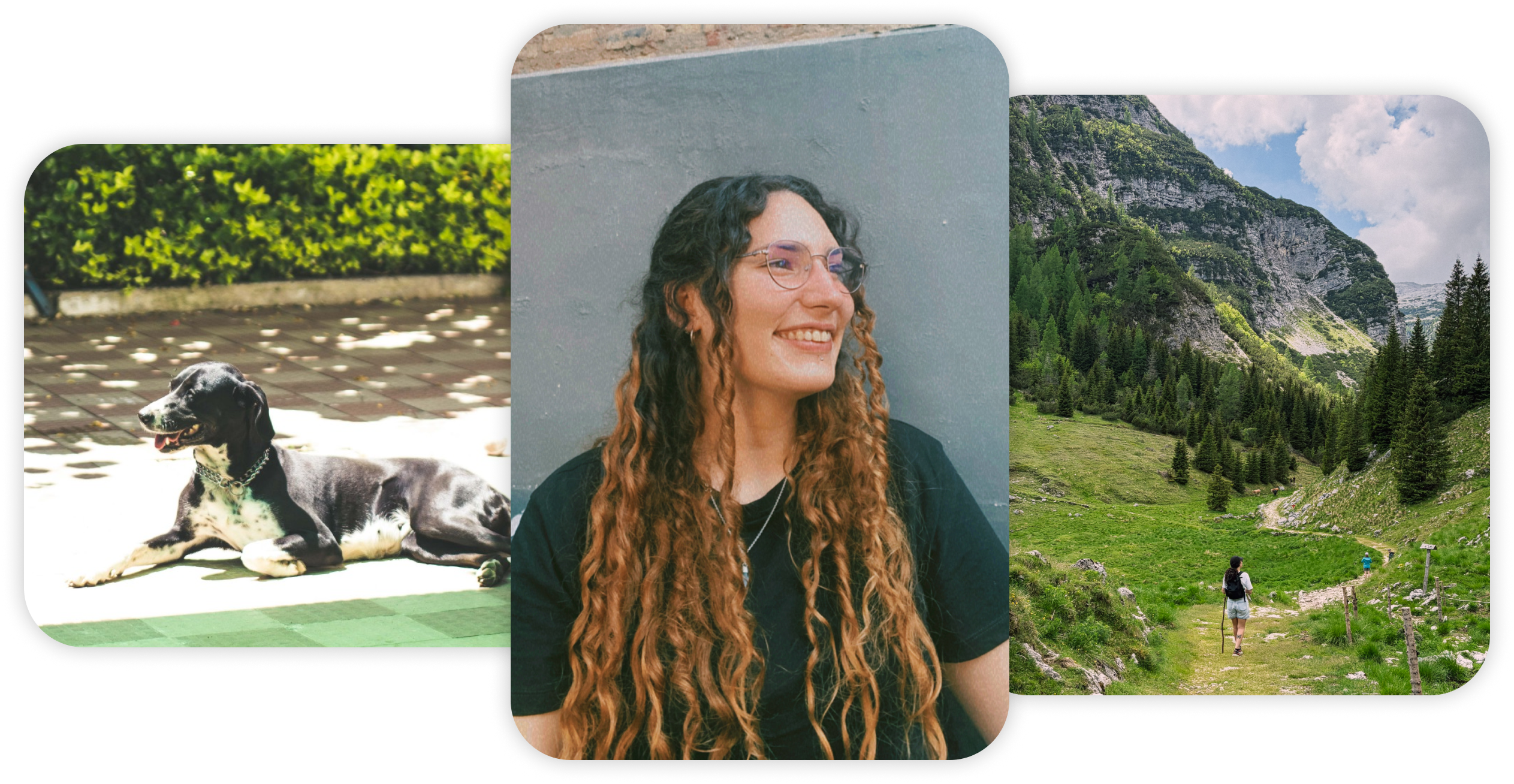 Three photos: my dog Iris lying in the sun, a portrait of me smiling, and me hiking through a green mountain valley